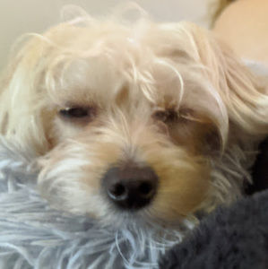 Meet your Posher, Matteo